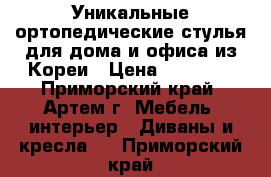 Уникальные ортопедические стулья для дома и офиса из Кореи › Цена ­ 15 000 - Приморский край, Артем г. Мебель, интерьер » Диваны и кресла   . Приморский край